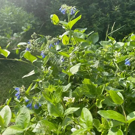 A Louer 1 A 2 Personnes