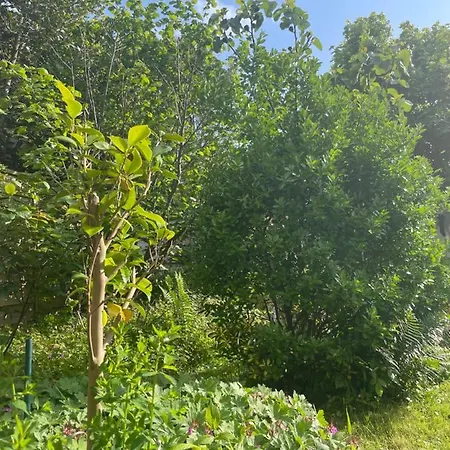 A Louer 1 A 2 Personnes * سانت آيربلان