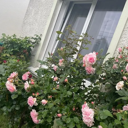 A Louer 1 A 2 Personnes Homestay *