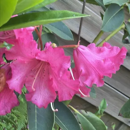 A Louer 1 A 2 Personnes * Saint-Herblain