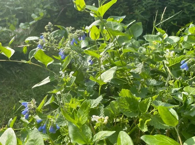 A Louer 1 A 2 Personnes