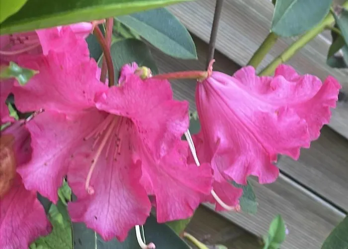 A Louer 1 A 2 Personnes * 圣埃尔布兰